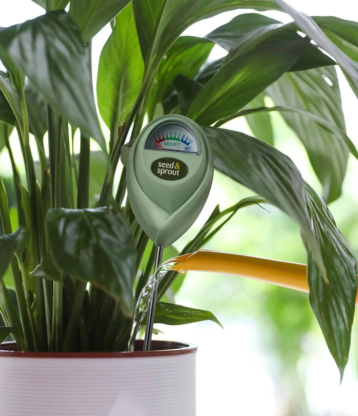 Hygromètre pour Plantes