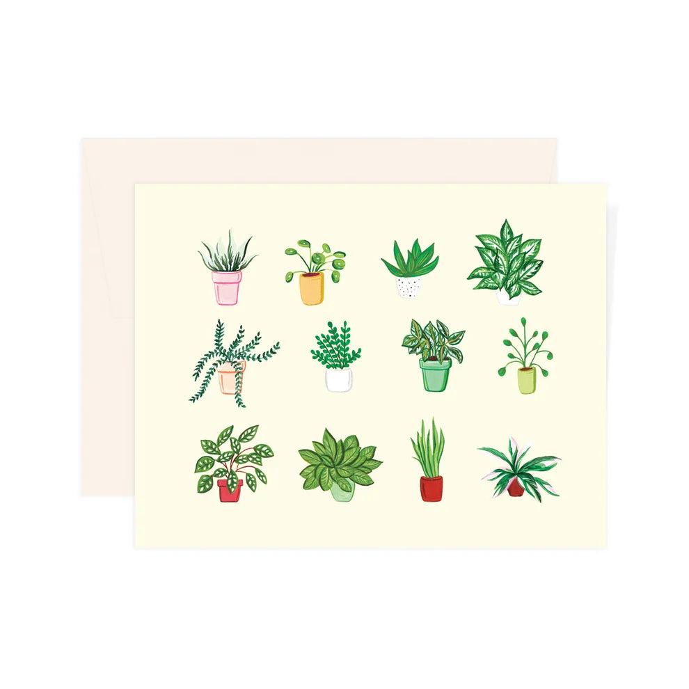 Carte - Plant Vases - Paige and Willow