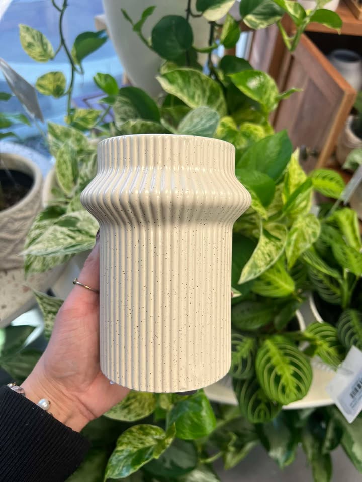 Vase Droit Crème