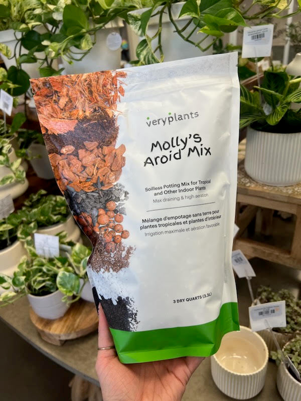 Terreau Molly's Mix - 3 Litres
