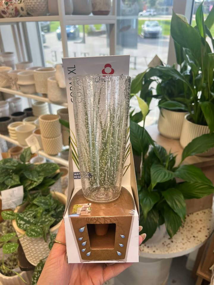 Copa - Réservoir d'Eau pour Plantes